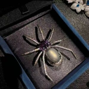 Spider brooch